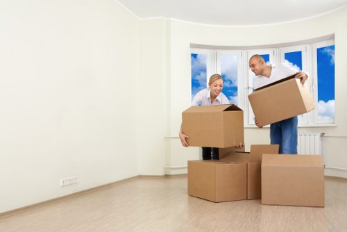 Assorted sturdy boxes and protective packing materials